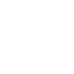 Wise Tech